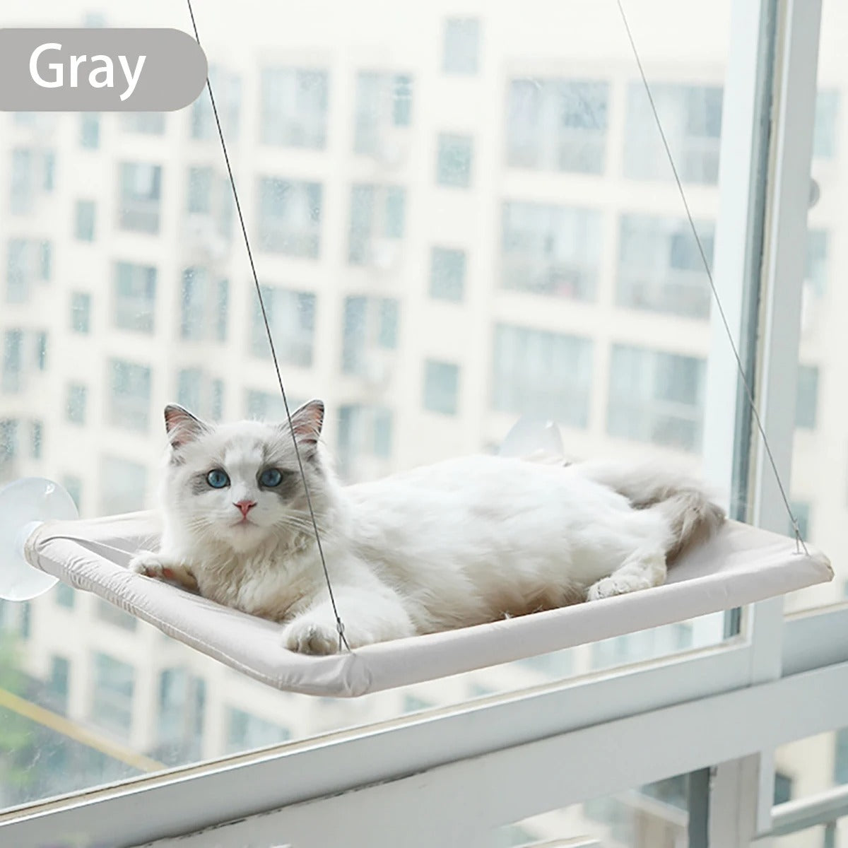Cat Hammock Aerial Hanging