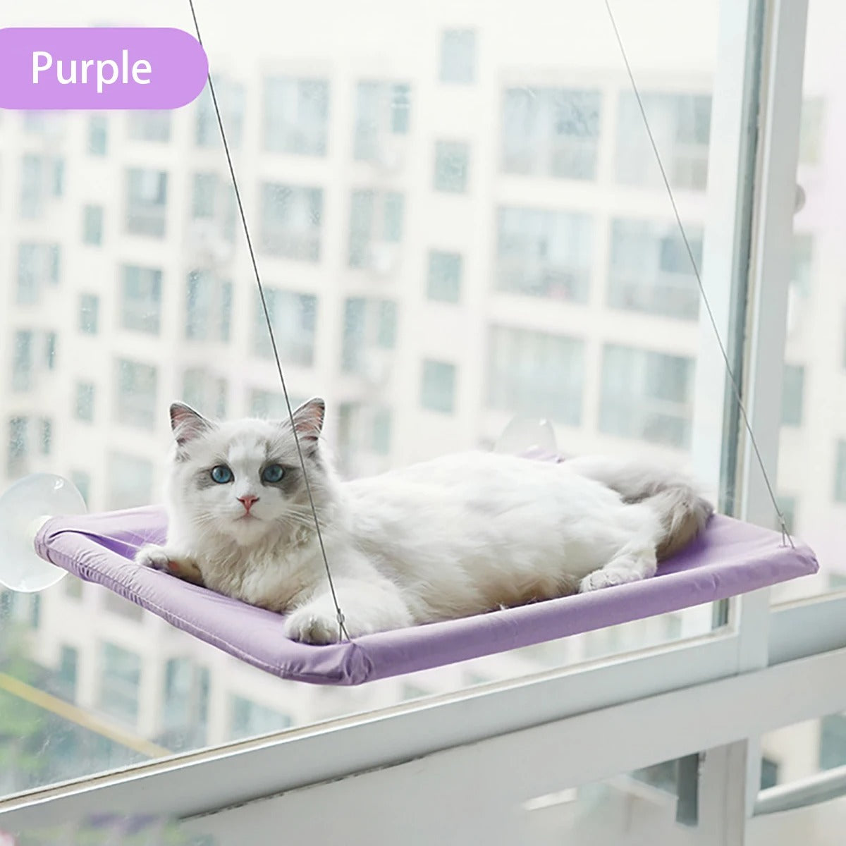 Cat Hammock Aerial Hanging